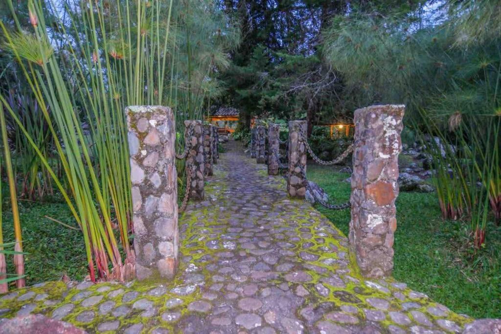 Villa Finca Punta De Piedra Salento, Quindio Exterior foto