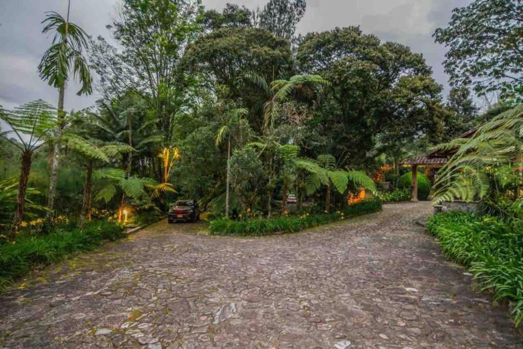 Villa Finca Punta De Piedra Salento, Quindio Exterior foto